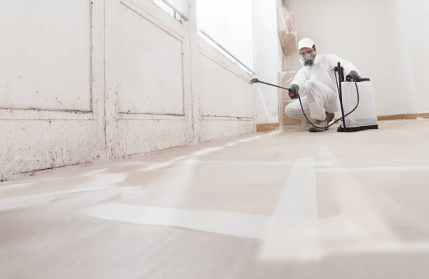 24/7 Emergency Crawl Space Mold Removal experts in Rolling Meadows, IL