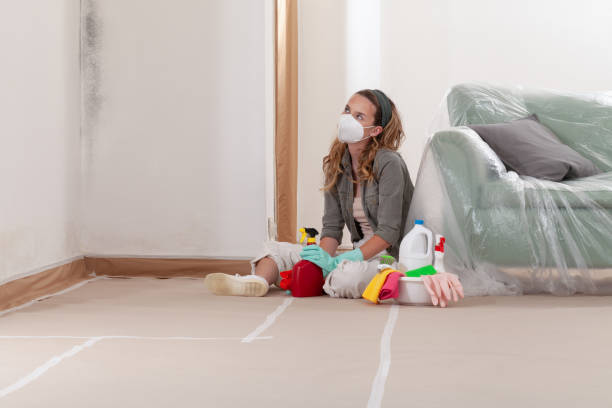 Reliable Crawl Space Mold Removal contractor in Rolling Meadows, IL by WQB Mold Removal