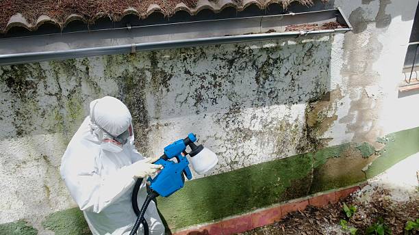Top rated local Crawl Space Mold Removal specialists in Rolling Meadows, IL